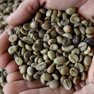 Java Preanger